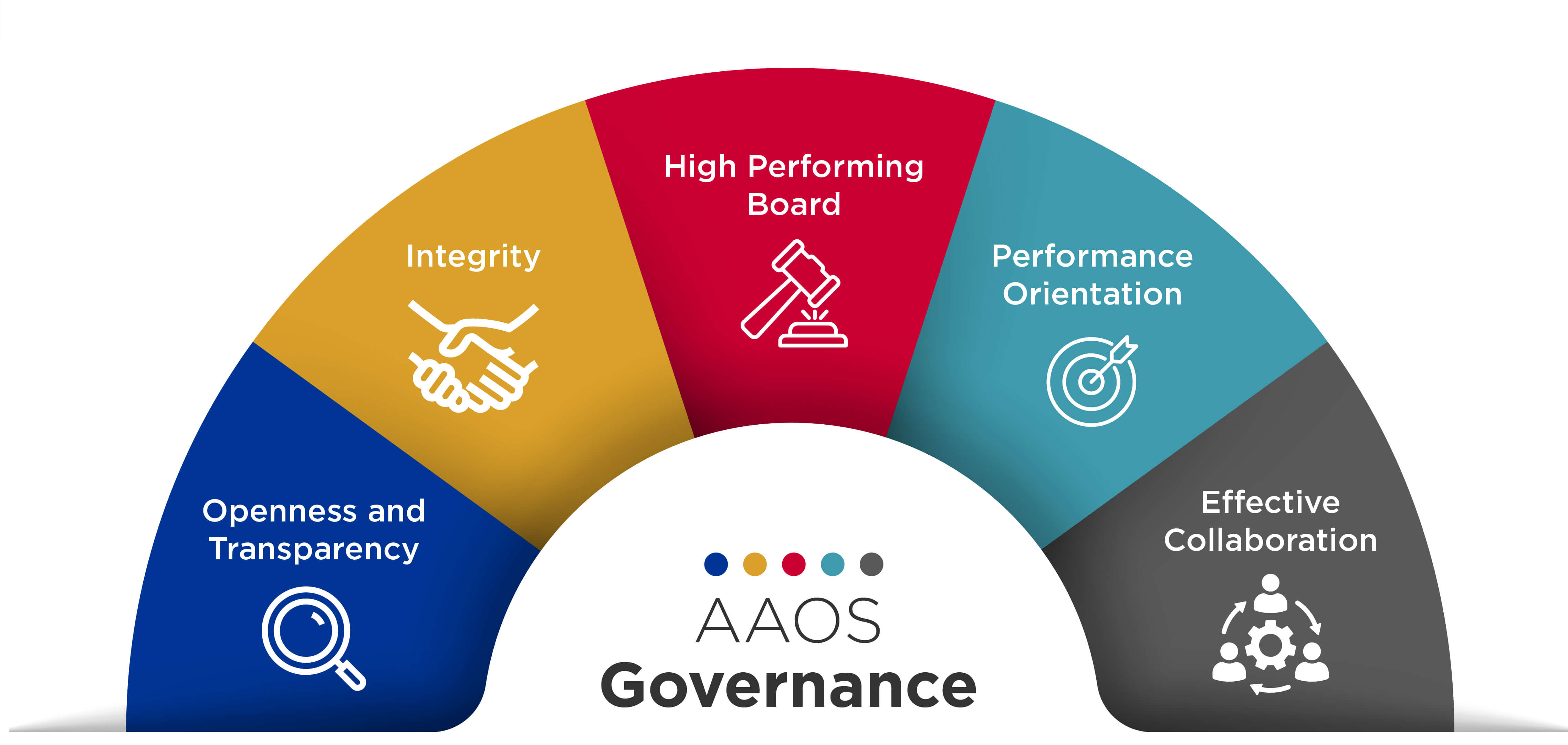 AAOS Governance