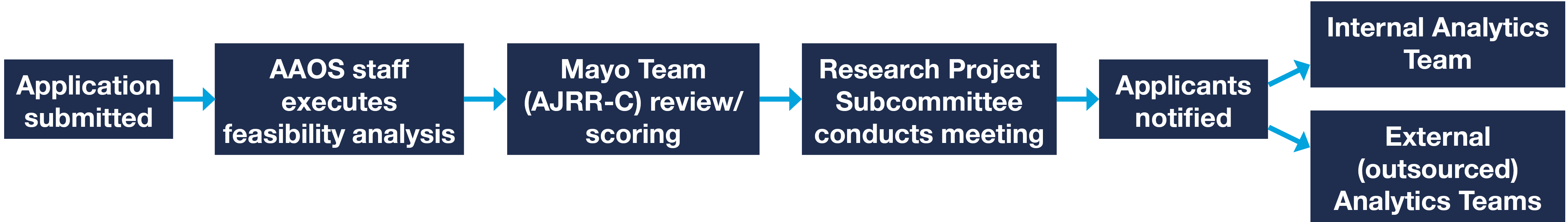 Registry Analytics Institute_Application Review Summary Flow Chart.png