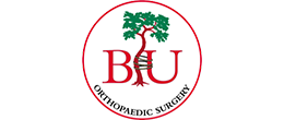 Boston University Orthopaedic Surgery